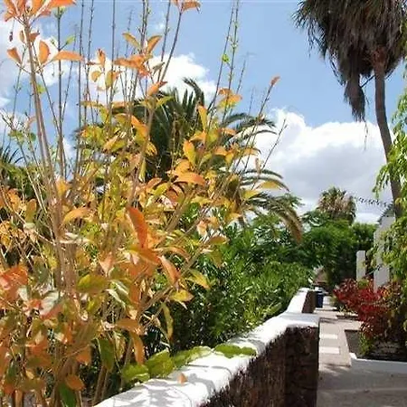 Guacimeta *
